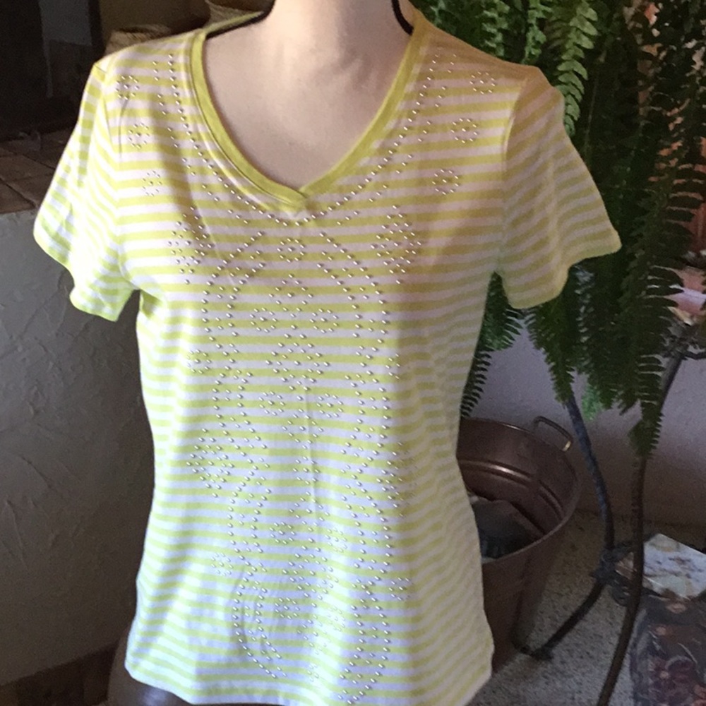 NWOT Chico’s Green and White Striped Top